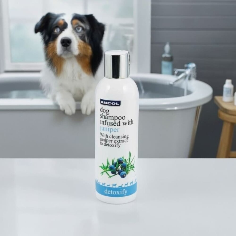 Juniper Dog Shampoo – Euro Luxury, SLS & Paraben Free, Essential Oils
